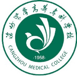 沧州双高计划学校名单及建设专业群名称(1所) 沧州双高计划学校名单及建设专业群名称(1所)